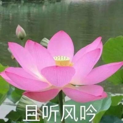 河南三日共报告78例新冠阳性 郑州暂停发售进京火车票
